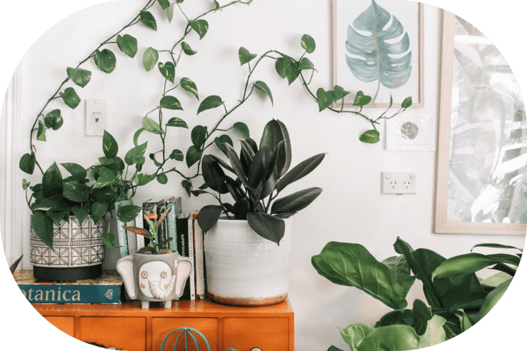 home free resources from normalizeheart to live intentionally