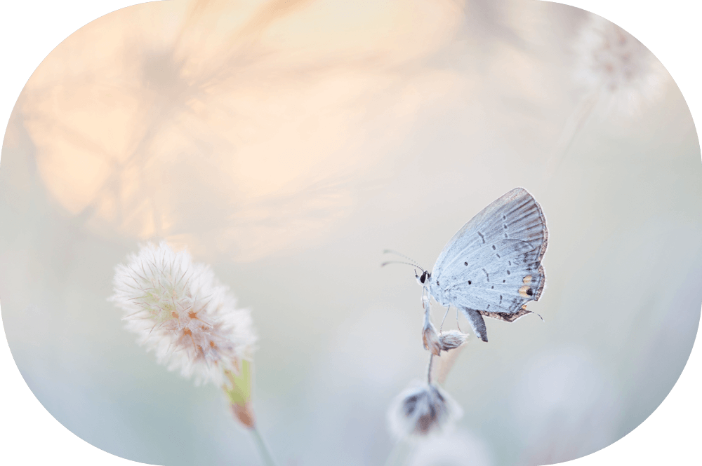 perspectives free resources from normalizeheart that examine our understanding of our world